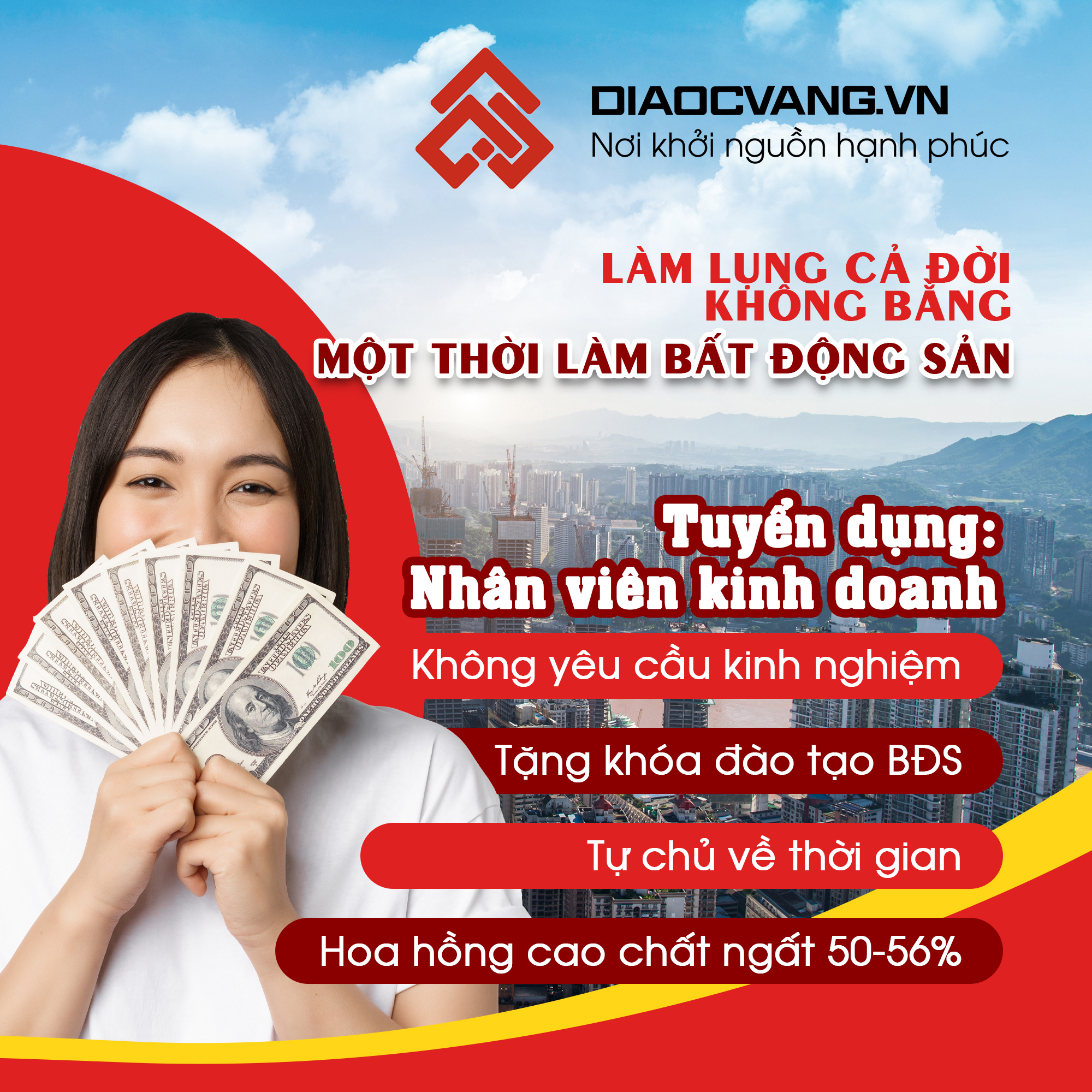 lĩnh vực hoạt động